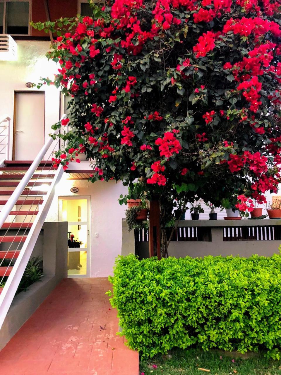 Flat 301 Condominio Villa Hipica - Gravata, Pe Экстерьер фото
